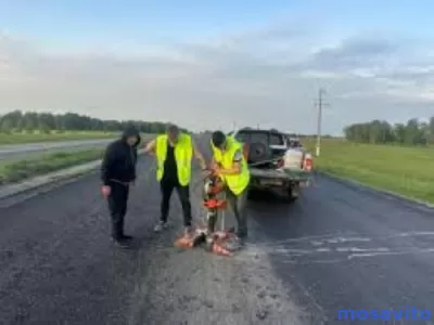 Оценка состояния автомобильных дорог во Владивостоке